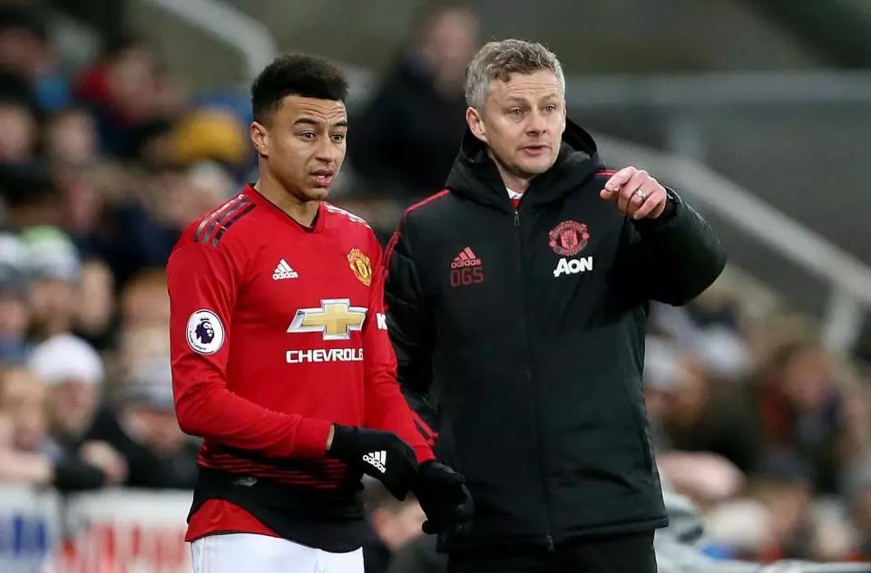 了球员在球 了球员在球