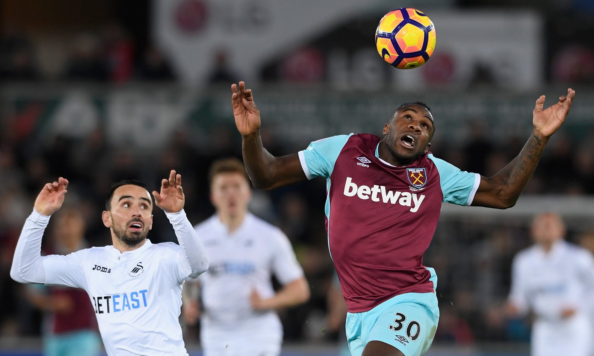 的主要原因 的主要原因