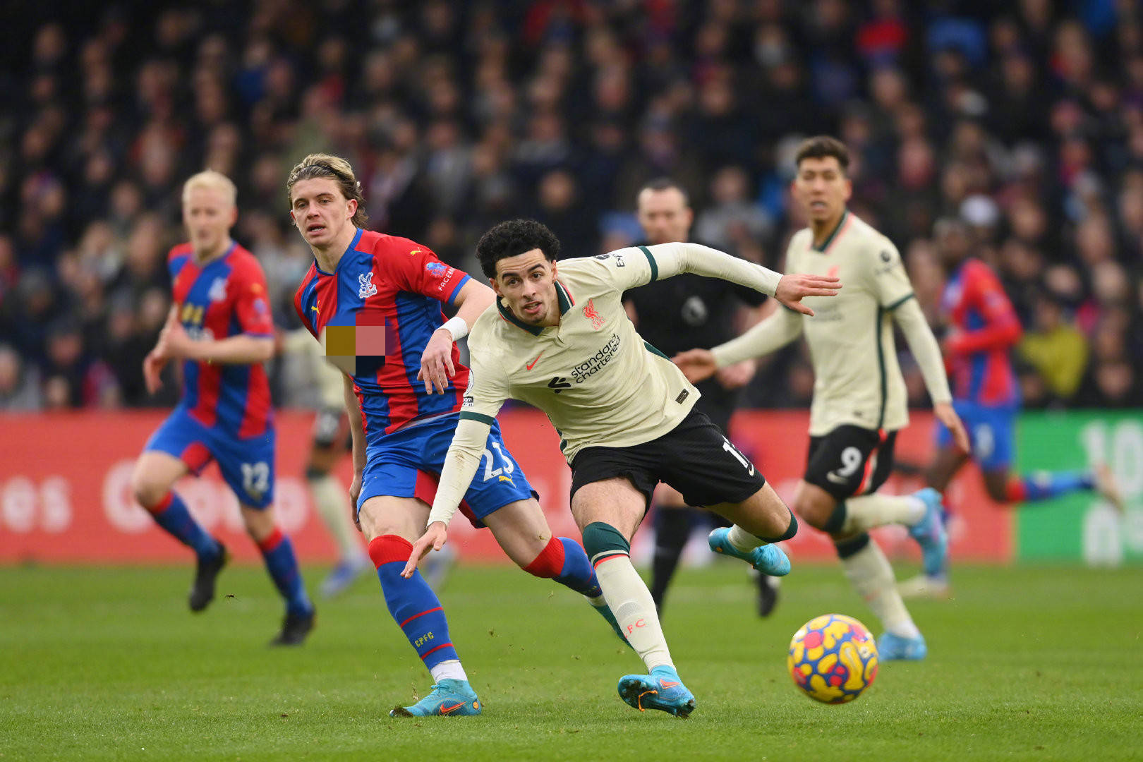 的未来选择 的未来选择